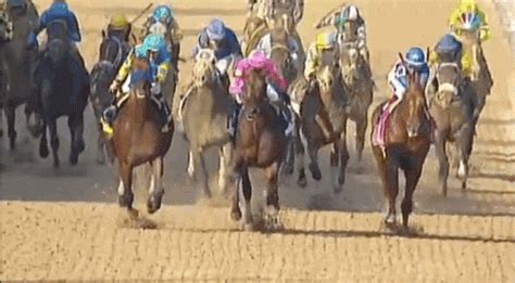 horse racing gif|Horse Racing GIFs .